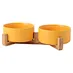 elevate cat food bowl